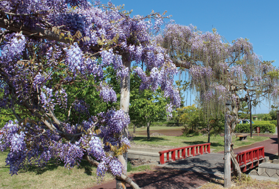 唐糸御前史跡公園
