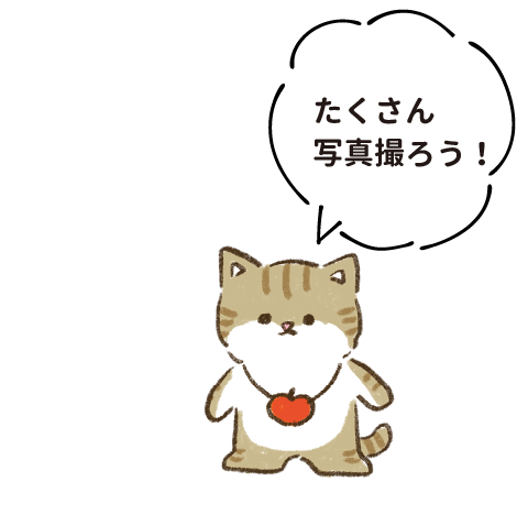 たくさん写真撮ろう！