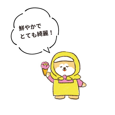 鮮やかでとても綺麗!