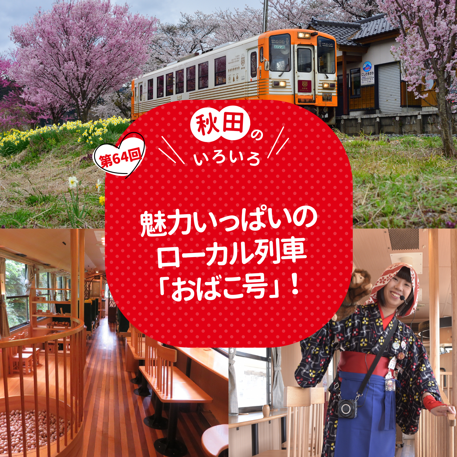 魅力いっぱいのローカル列車「おばこ号」！