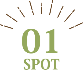 01 SPOT