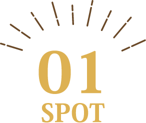 01 SPOT