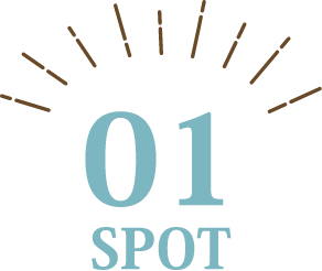 01 SPOT
