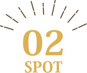 02 SPOT