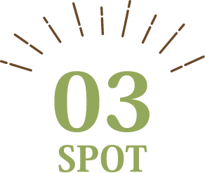 03 SPOT