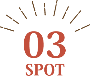 03 SPOT