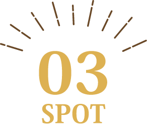 03 SPOT