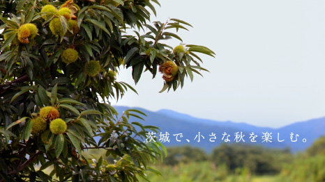 撮影地 イメージ