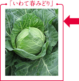 「いわて春みどり」