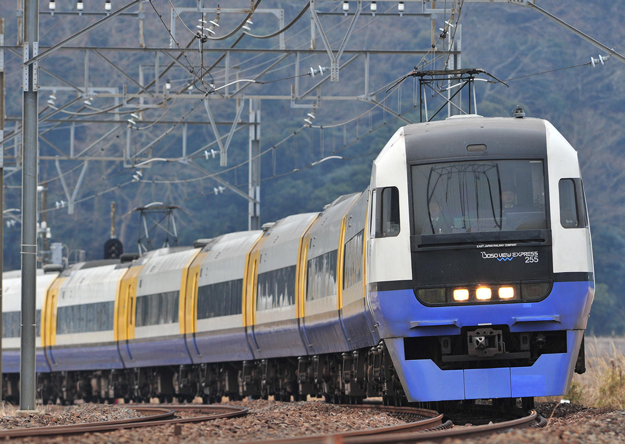 わかしお 鴨川シーワールド かつうら海中公園 季節の特集 フレテミーナ Jr東日本