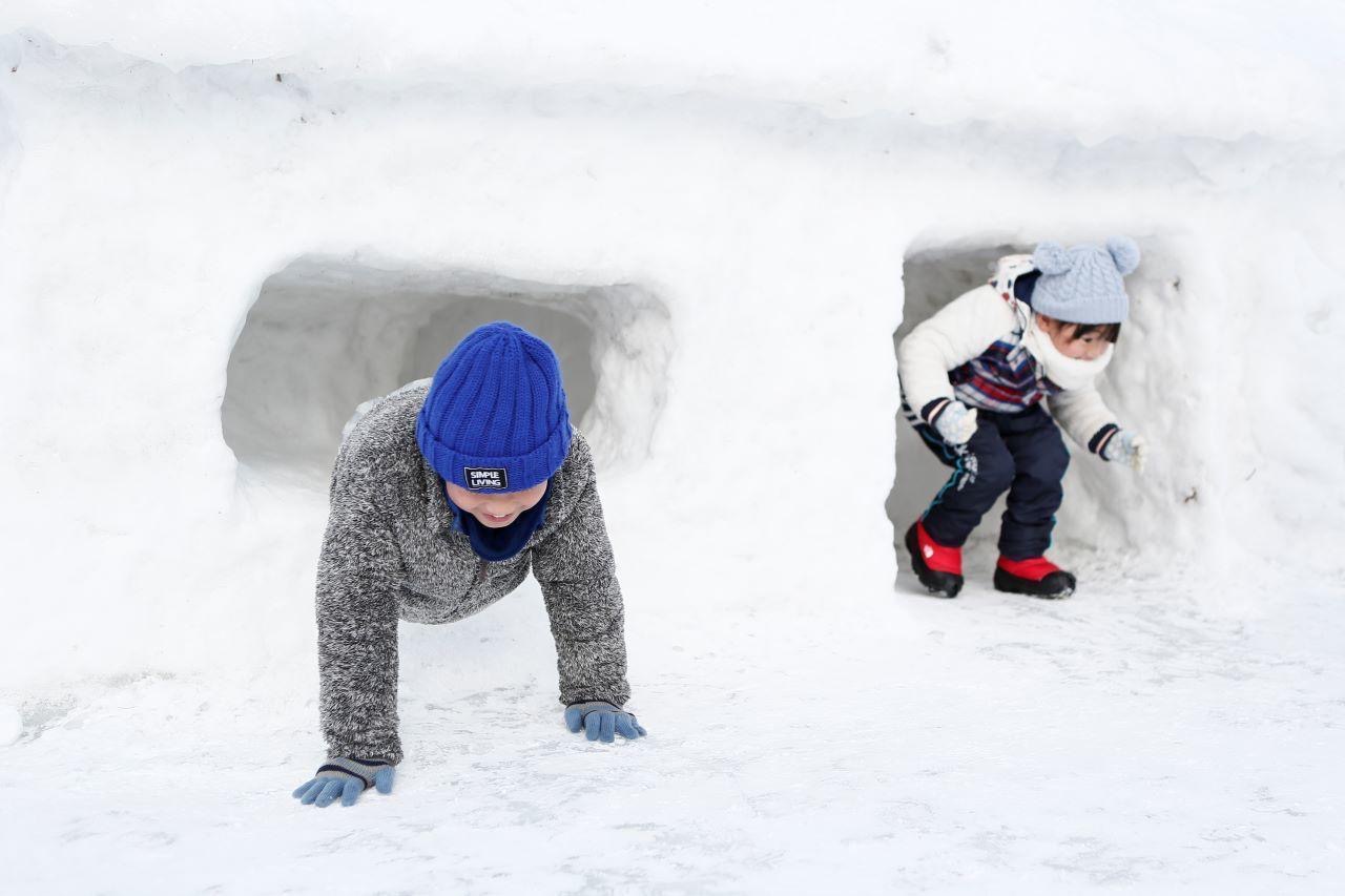 いわて雪まつり 季節の特集 フレテミーナ Jr東日本