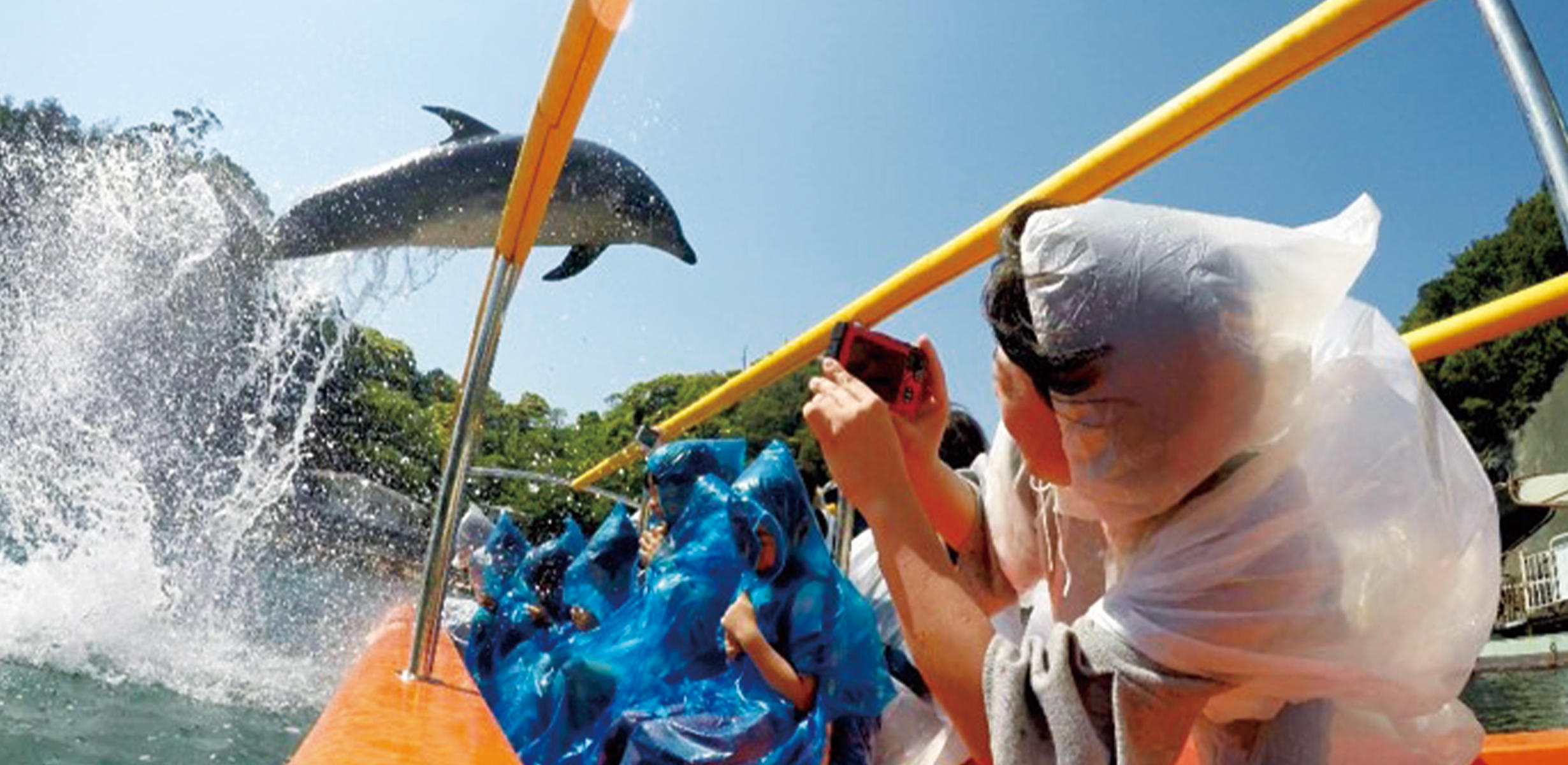 閉館後の水族館ってどんな感じ?「イルカとふれあい」「誰もいない館内を、スタッフのガイドで貸切見学」下田海中水族館特別企画と美しい海で「初めてのシーカヤック」の写真