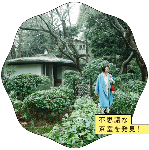 江戸時代の桜の名所に広がる日本庭園
