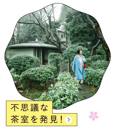 江戸時代の桜の名所に広がる日本庭園