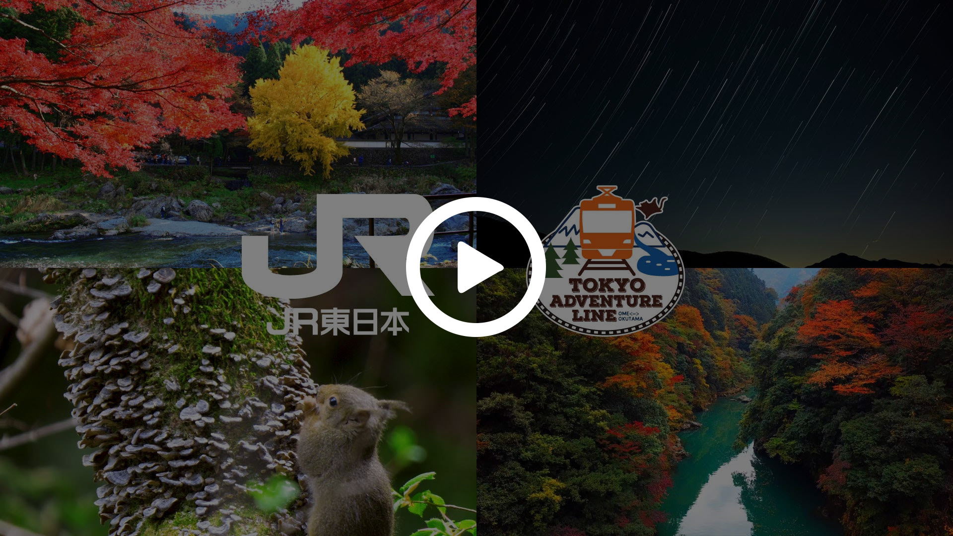 東京アドベンチャーライン秋2020