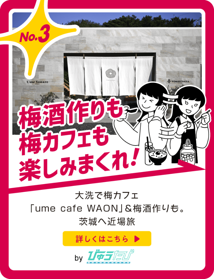 梅酒作りも梅カフェも楽しみまくれ！