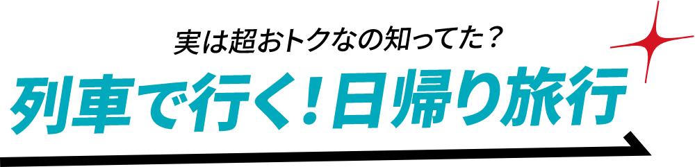 実はお得なの知ってた？列車で行く！日帰り旅行