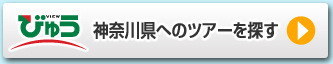 _ސ쌧ւ̃cA[T