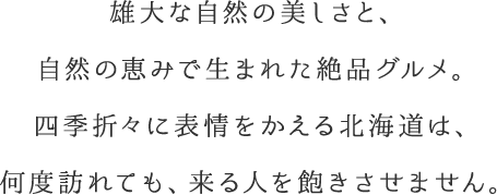 雄大な自然の美しさと、自然の恵みで生まれた絶品グルメ。四季折々に表情をかえる北海道は、何度訪れても、来る人を飽きさせません。