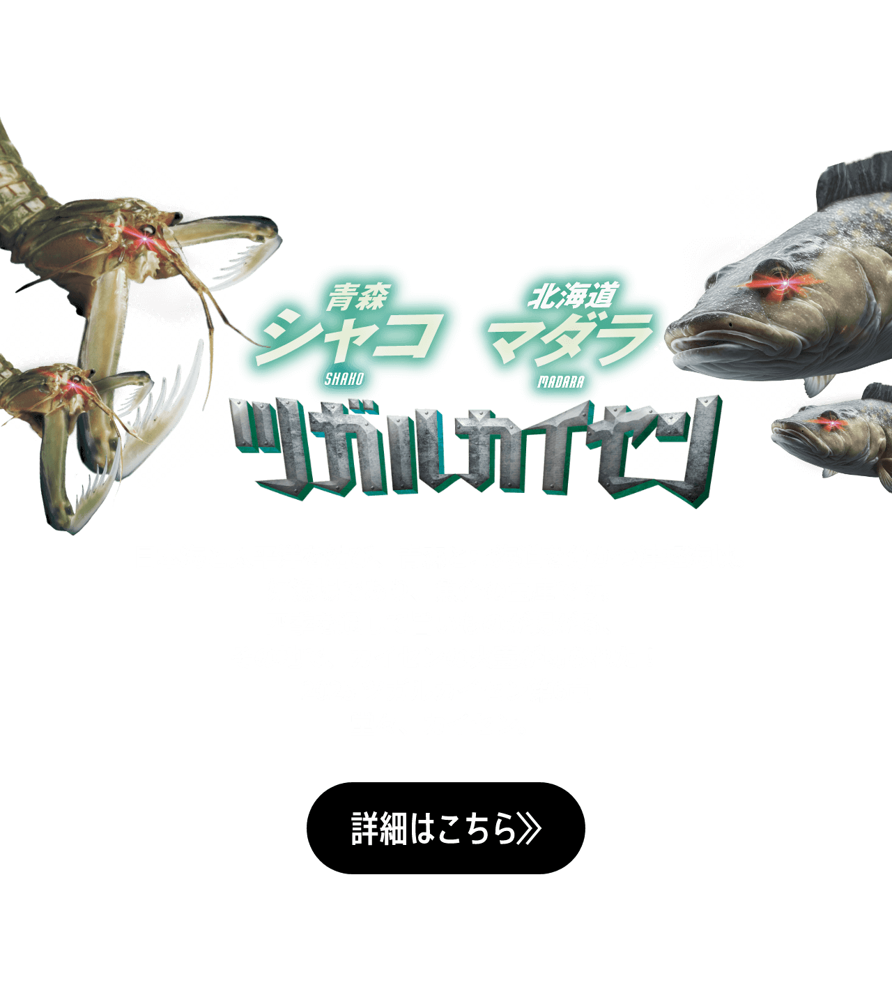旨い戦いがここにある！ツガルの秋が熱い！ TSUGARU KAISEN 青森vs北海道 海を挟んだ、海鮮対決。 津軽海峡は、旨いが正義だ！ 日本海と太平洋を結び、青森と北海道を分かつ津軽海峡。好漁場であり、魚介の宝庫です。四季を通じて旨いものが揚がる、その地で、カイセンの火蓋が切られた！ 秋、青森の鯖がもっともおいしくなる季節です。例年9月になると海水温が急激に低下するため、脂を蓄えて丸々とした鯖が水揚げされます。脂のりは日本一とも称され、とろける旨みがたまりません。 今年もみなみ北海道に鰤がやってきました。2020年には年間漁獲量で全国トップに躍り出ており、とりわけ函館では2010年ごろから漁獲量が増え始め、いま、鰤が新たな食文化として根づきつつあります。