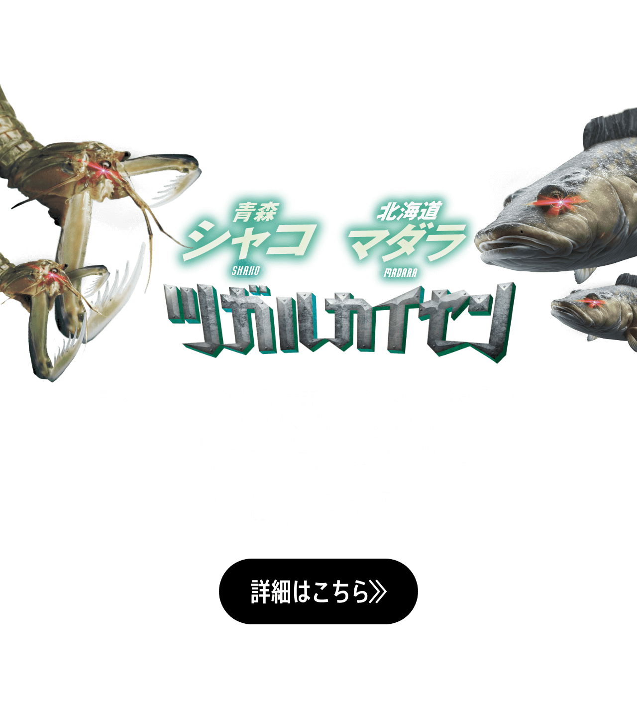 再び新たな戦いが始まる! 青森vs北海道  海を挟んだ、海鮮対決。津軽海峡は、旨いが正義だ！ 日本海と太平洋を結び、青森と北海道を分かつ津軽海峡。好漁場であり、魚介の宝庫です。ツガルカイセン 青森の海産物のなかで、トップの水揚げ量を誇るホタテ。そのほとんどが、陸奥湾育ちです。桜の咲くころからぐんぐん大きくなり、初夏、いよいよ旬を迎えます。 北海道には全国一の漁獲量を誇る魚介がたくさんありますが、そのひとつがタコ。初夏、禁漁となる産卵期間を目前に控え、漁が大詰めを迎えています。 詳細はこちら