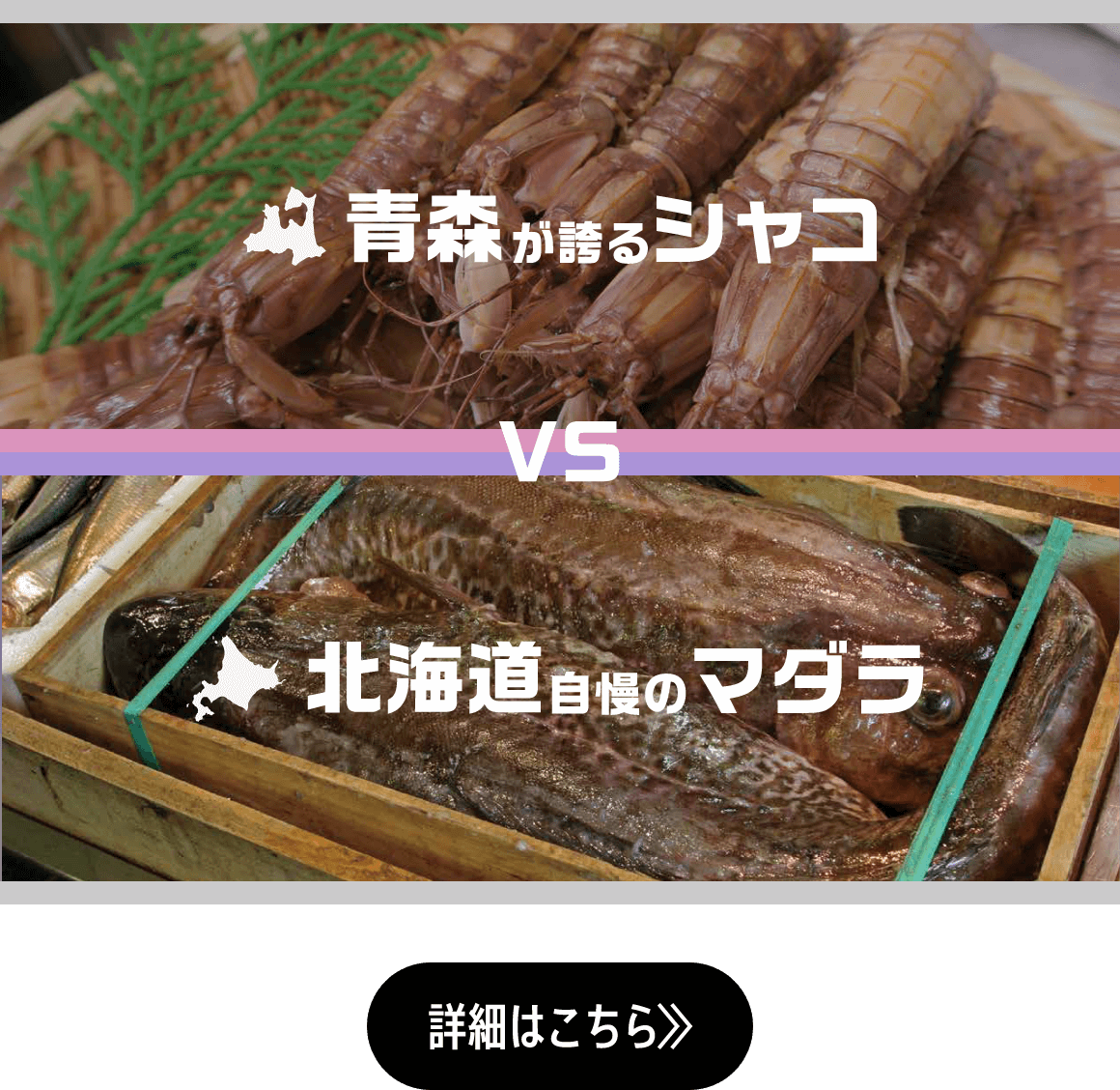 ツガルカイセン 2023 秋の陣 鯖・鰤を知る！ 詳細はこちら