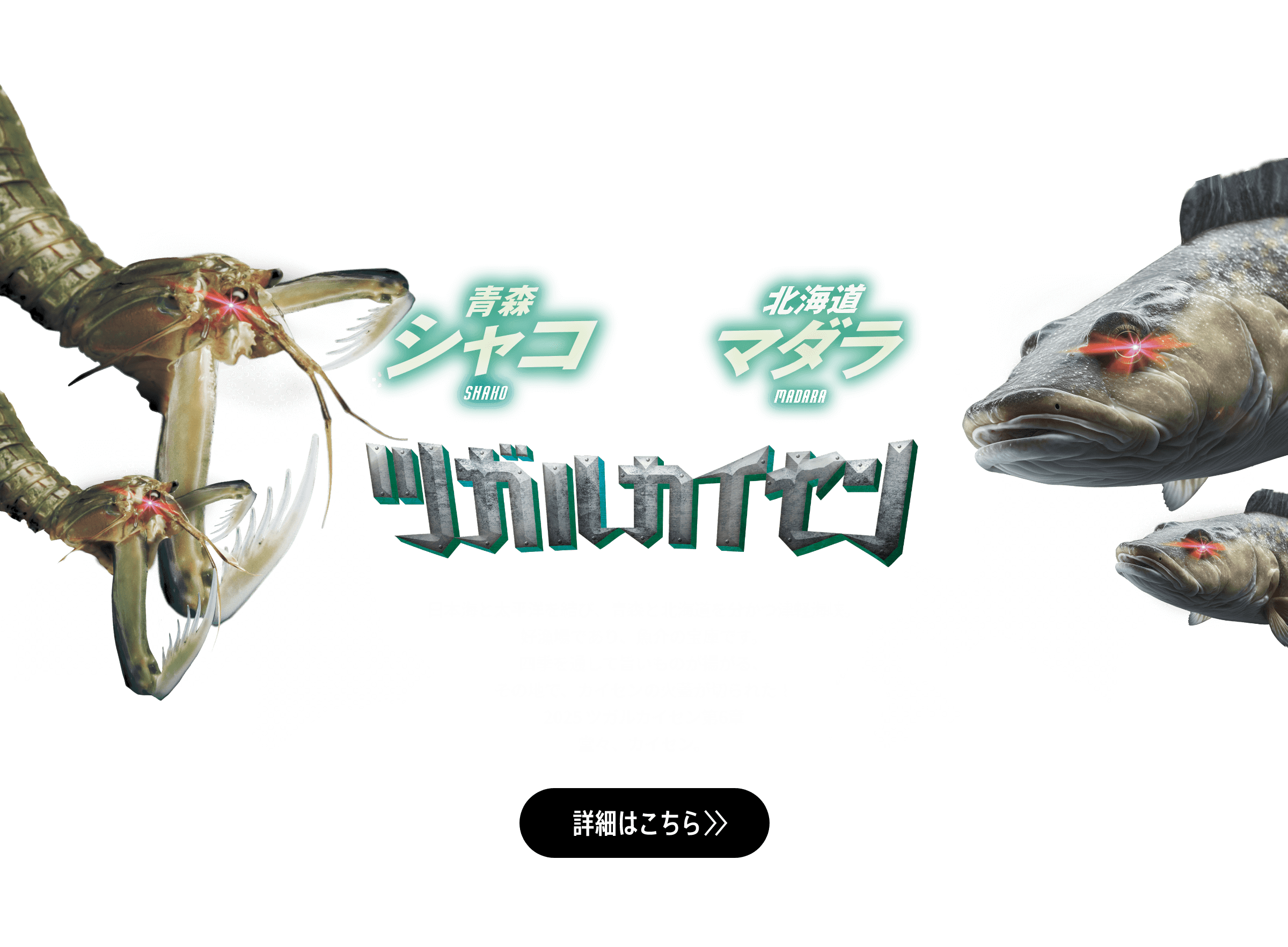 旨い戦いがここにある！ツガルの秋が熱い！ TSUGARU KAISEN 青森vs北海道 海を挟んだ、海鮮対決。 津軽海峡は、旨いが正義だ！ 日本海と太平洋を結び、青森と北海道を分かつ津軽海峡。好漁場であり、魚介の宝庫です。四季を通じて旨いものが揚がる、その地で、カイセンの火蓋が切られた！ 秋、青森の鯖がもっともおいしくなる季節です。例年9月になると海水温が急激に低下するため、脂を蓄えて丸々とした鯖が水揚げされます。脂のりは日本一とも称され、とろける旨みがたまりません。 今年もみなみ北海道に鰤がやってきました。2020年には年間漁獲量で全国トップに躍り出ており、とりわけ函館では2010年ごろから漁獲量が増え始め、いま、鰤が新たな食文化として根づきつつあります。