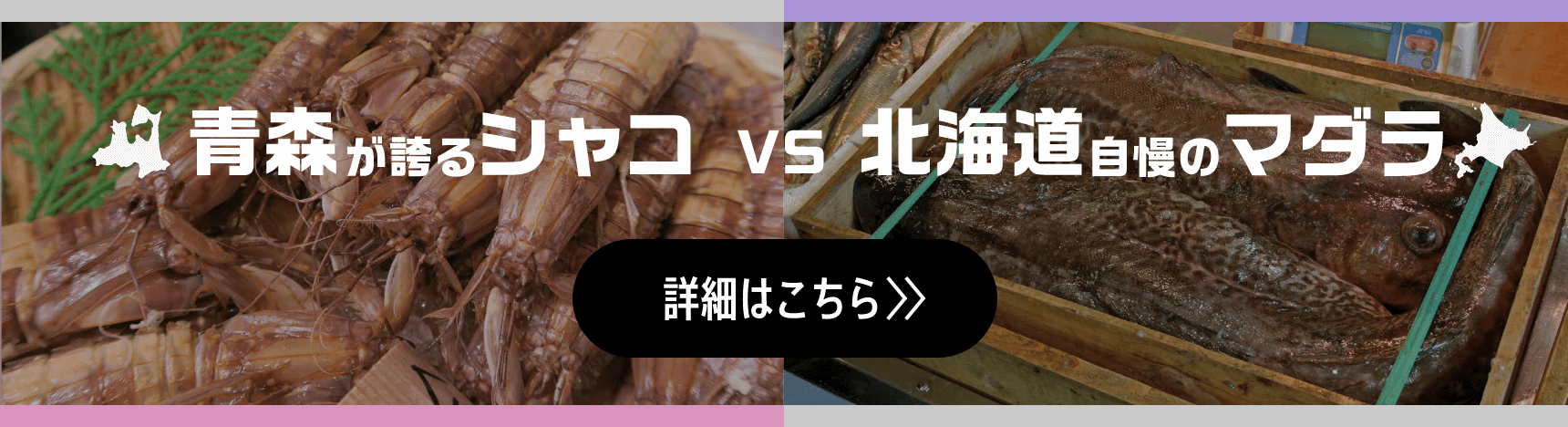 ツガルカイセン 2023 秋の陣 鯖・鰤を知る！ 詳細はこちら