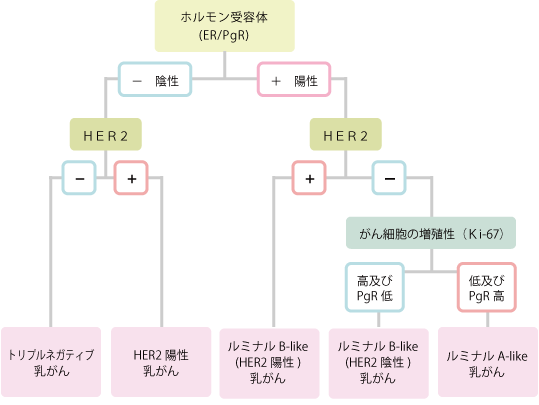 乳がんのサブタイプと薬物療法のイメージ