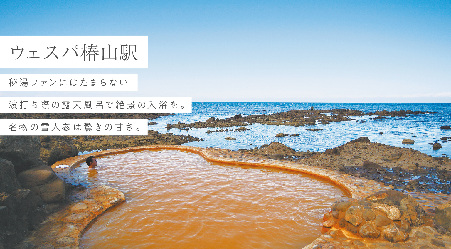 ウェスパ椿山駅