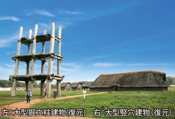 三内丸山遺跡センター【特別史跡三内丸山遺跡】