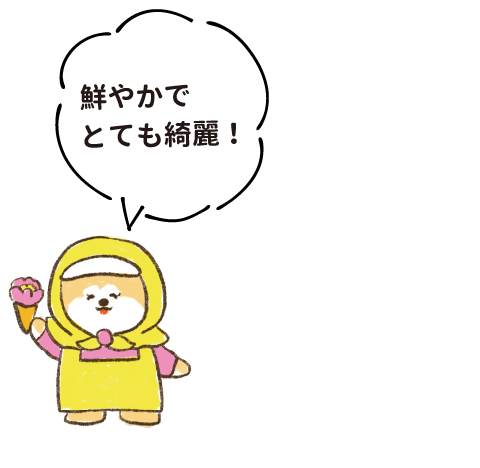 鮮やかでとても綺麗!
