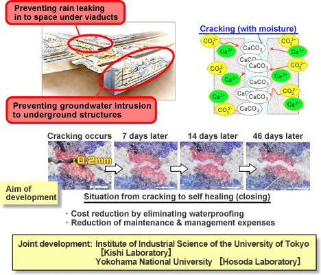 Development of Next-generation Concrete Materials (Crack Self-healing Concrete)