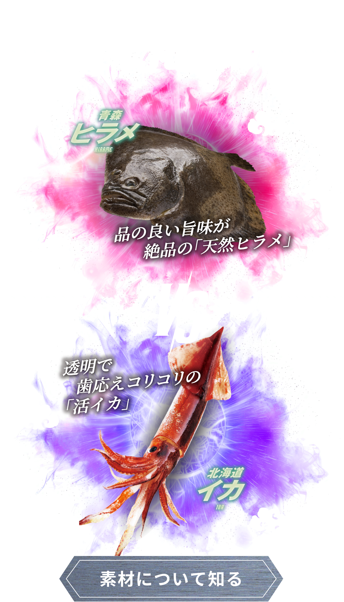 -2022-SUMMER EPISODE.1 青森 ひらめ HIRAME VS 北海道 イカ IKA。 素材について知る
