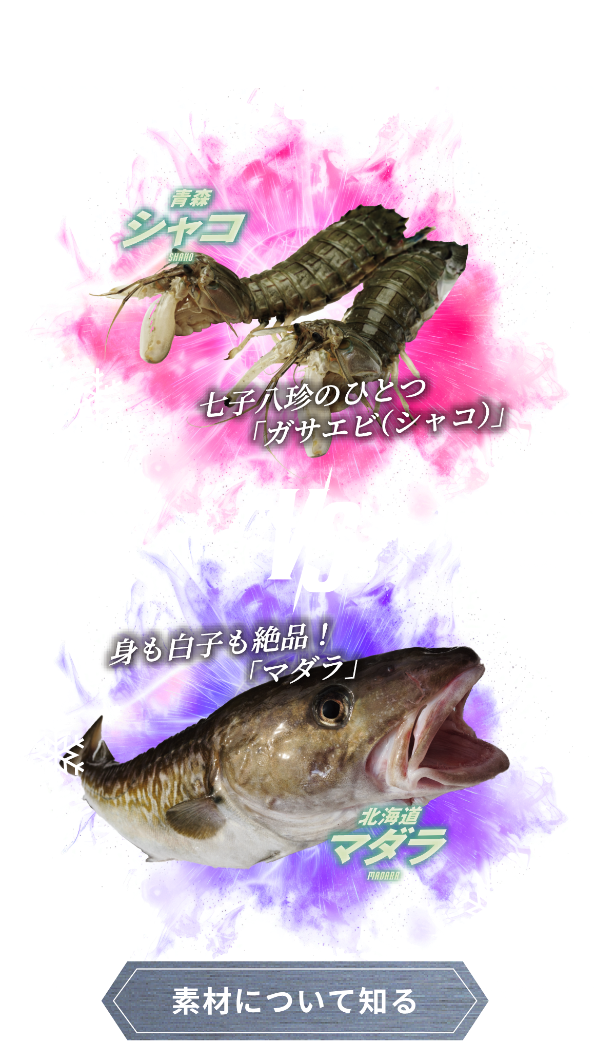 -2025-WINTER EPISODE.6 青森 シャコ SHAHO VS 北海道 マダラ MADARA。 素材について知る