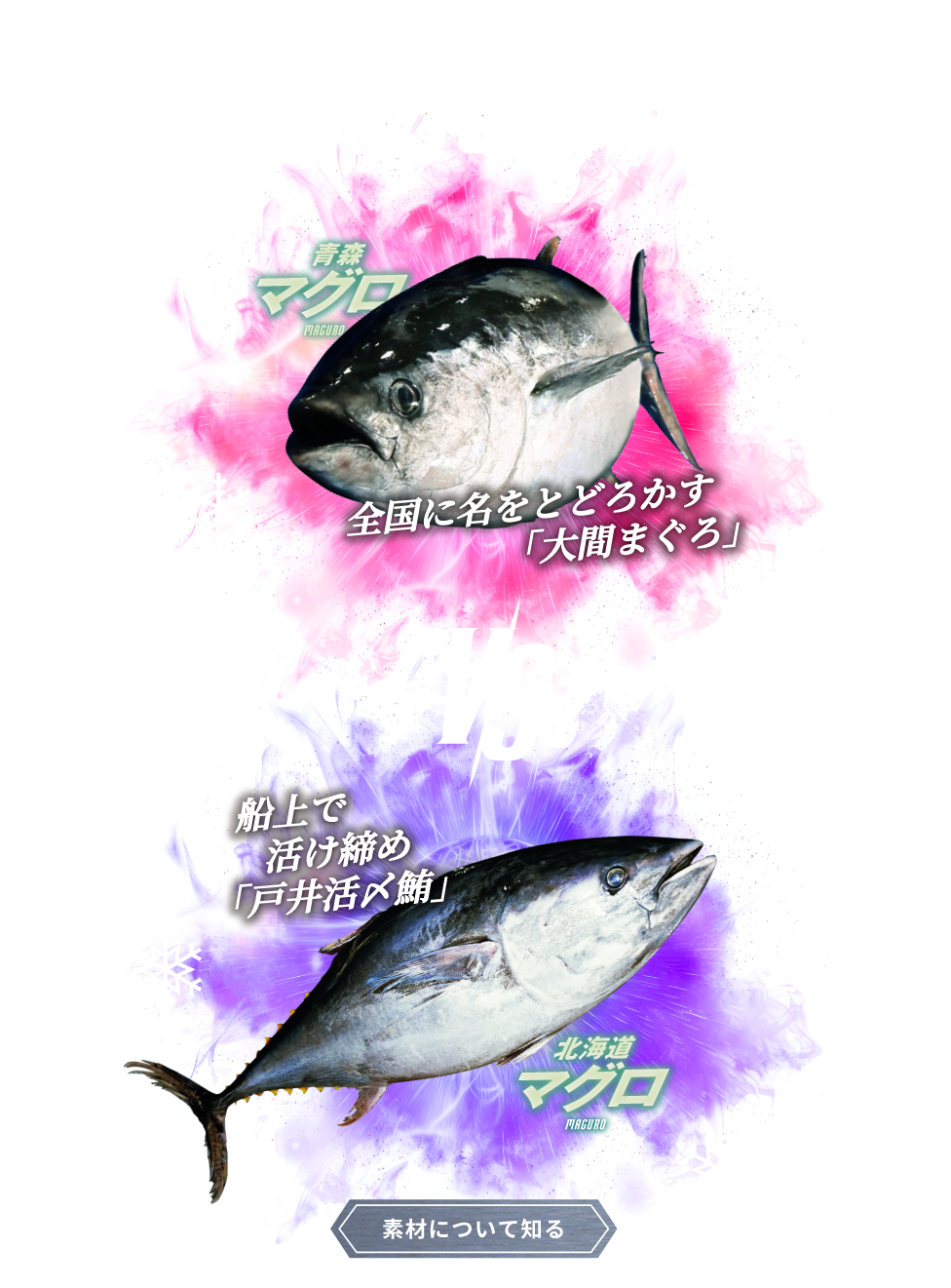 -2022-WINTER EPISODE.2 青森 マグロ MAGURO VS 北海道 マグロ MAGURO。 素材について知る