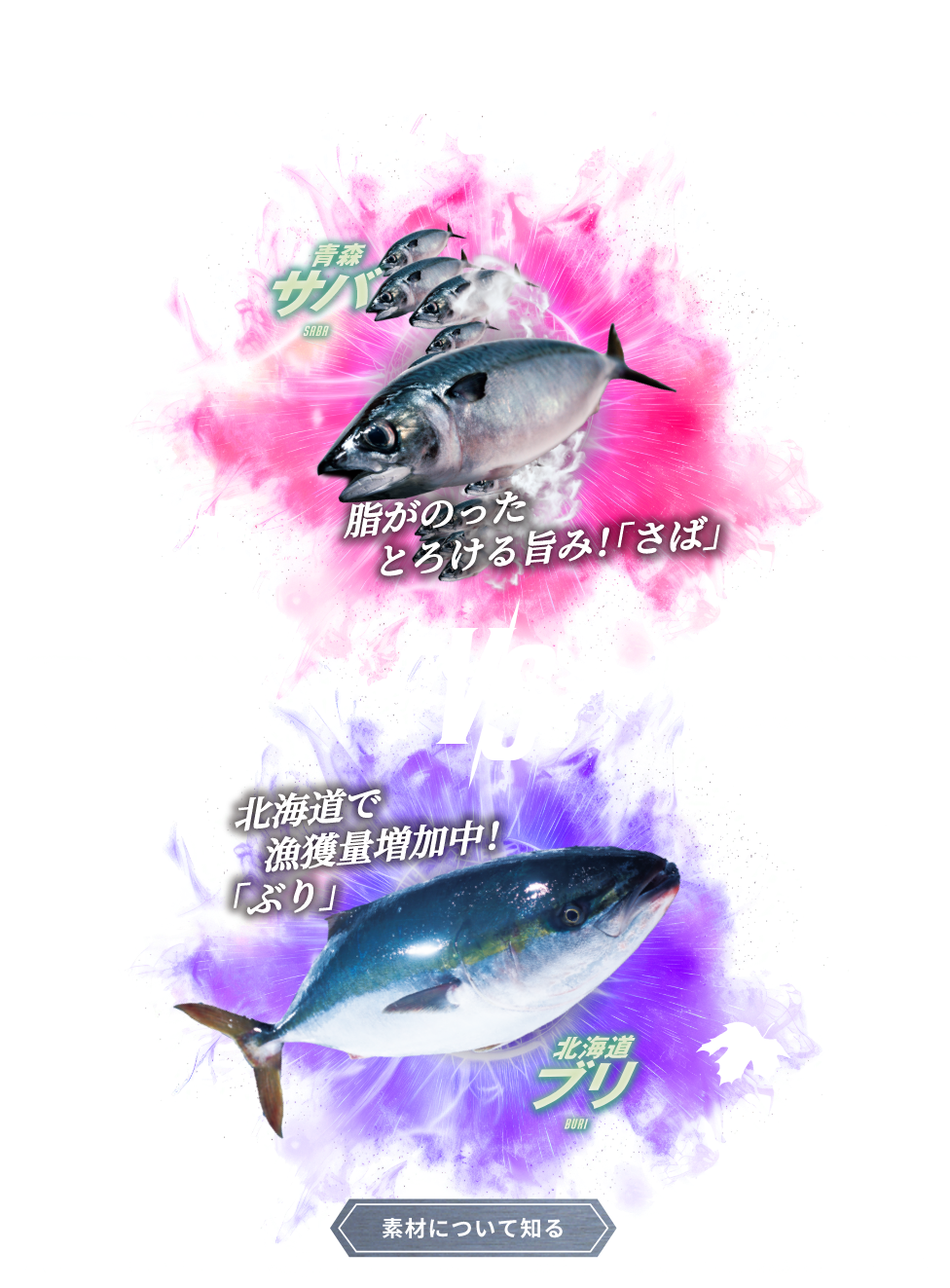 -2023-AUTUMN EPISODE.4 青森 サバ SABA VS 北海道 ブリ BURI。 素材について知る