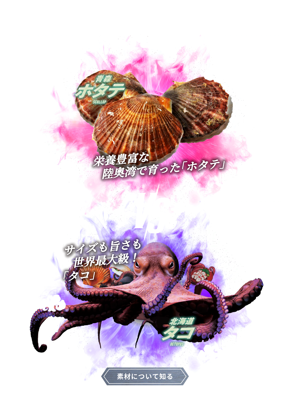 -2024-SUMMER EPISODE.5 青森 ホタテ SCALLOP VS 北海道 タコ OCTOPUS。 素材について知る