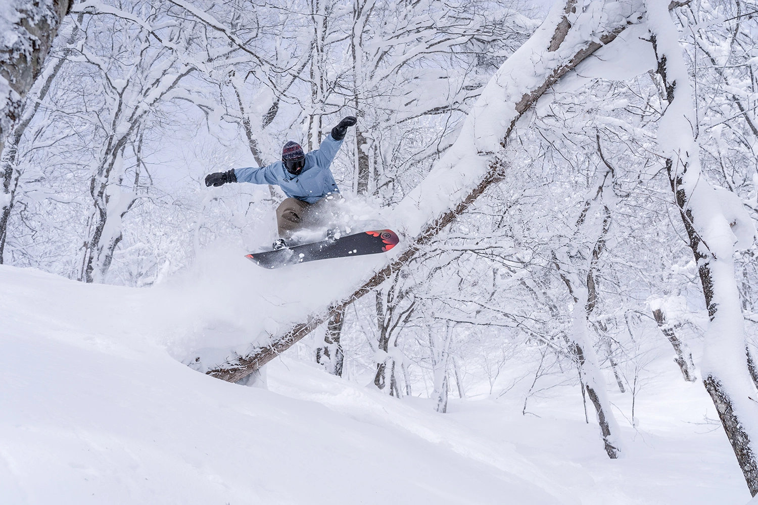 星野リゾート ネコマ マウンテン（福島県）