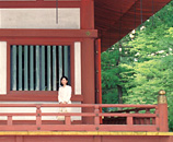 毛越寺 本堂の写真
