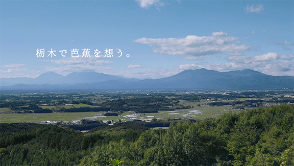 撮影地 イメージ