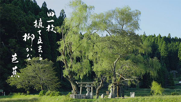 撮影地 イメージ