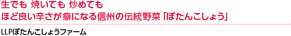 生でも 焼いても 炒めてもほど良い辛さが癖になる信州の伝統野菜「ぼたんこしょう」LLPぼたんこしょうファーム
