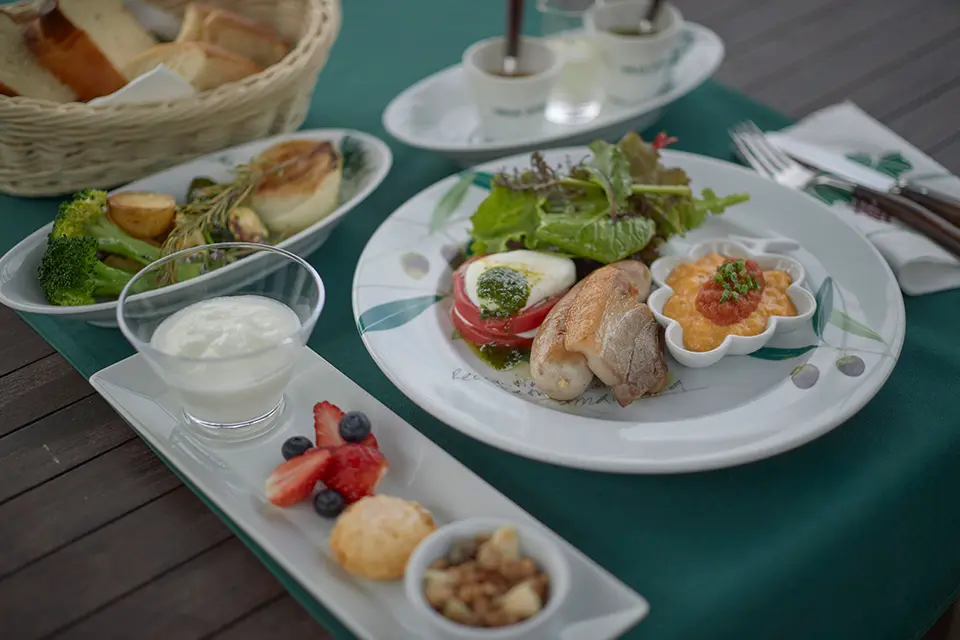 イメージ：料理