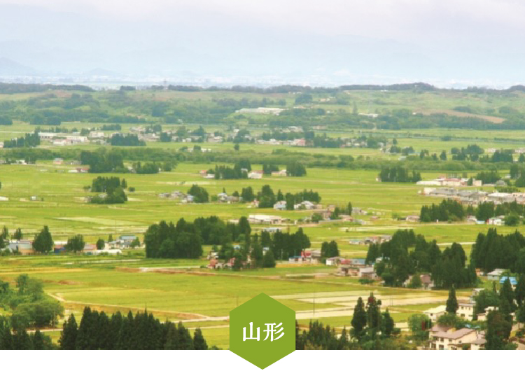 山形