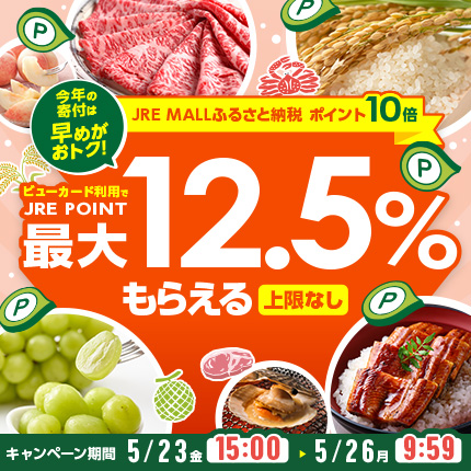 【ふるさと納税】ポイント10倍