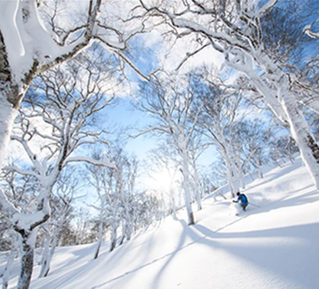 急斜面のスリルが楽しめる！