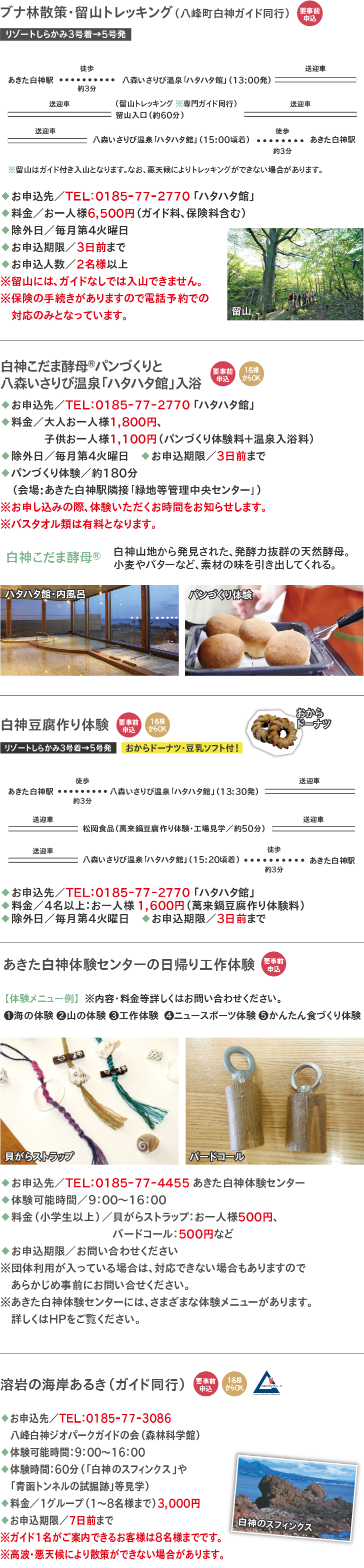 観光体験メニュー