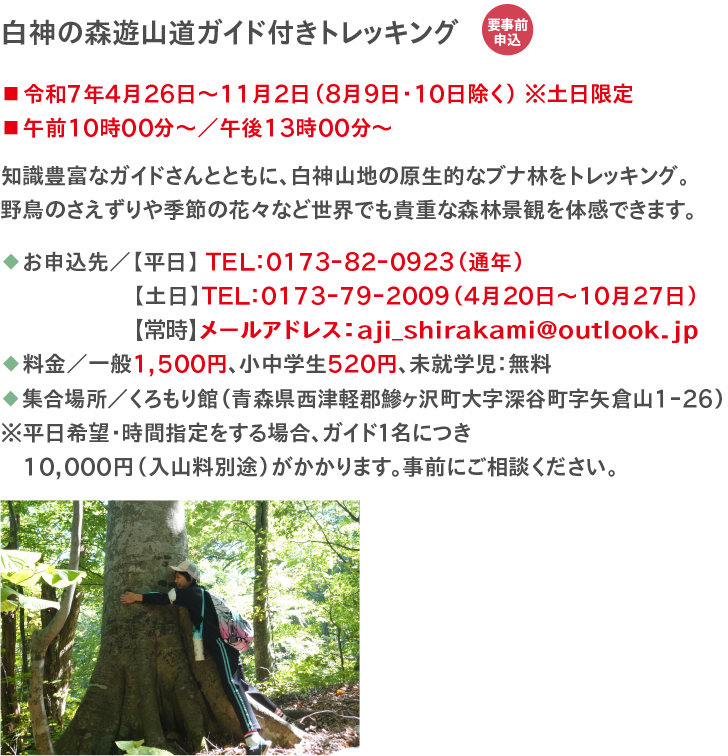 観光体験メニュー