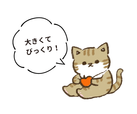 大きくてびっくり！